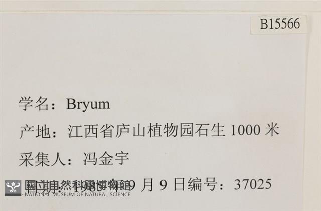 登錄號:B00015566藏品圖，第2張