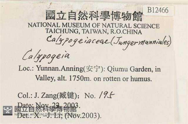 登錄號:B00012466藏品圖，第2張