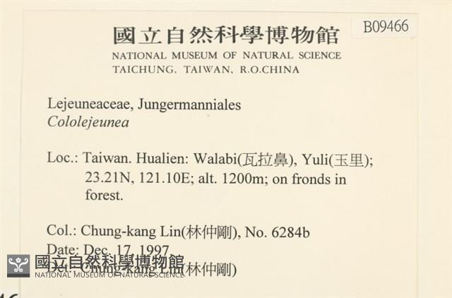 登錄號:B00009466藏品圖，第2張