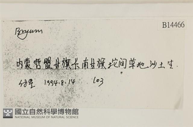 登錄號:B00014466藏品圖，第2張