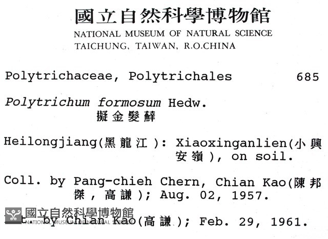擬金髮蘚藏品圖，第2張