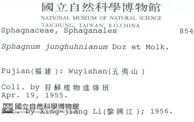暖地泥炭蘚藏品圖，第2張