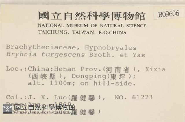 登錄號:B00009606藏品圖，第2張