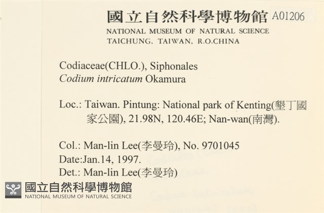 登錄號:A00001206藏品圖，第2張