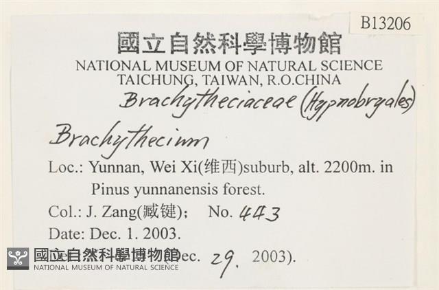 登錄號:B00013206藏品圖，第2張