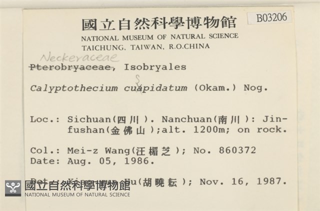 登錄號:B00003206藏品圖，第2張