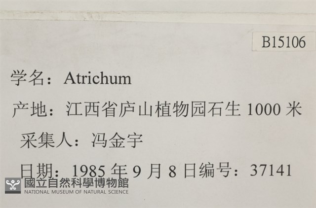 登錄號:B00015106藏品圖，第2張