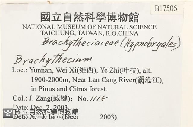 登錄號:B00017506藏品圖，第2張