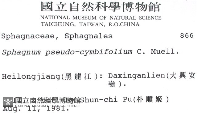 擬大泥炭蘚藏品圖，第2張
