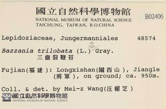 鞭苔藏品圖，第2張