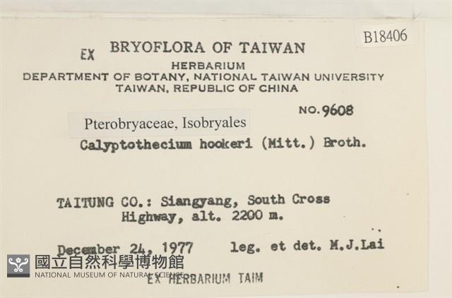 登錄號:B00018406藏品圖，第2張
