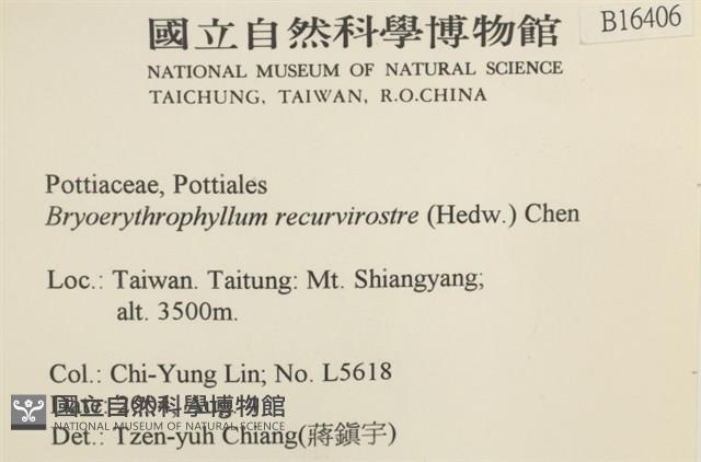 登錄號:B00016406藏品圖，第2張
