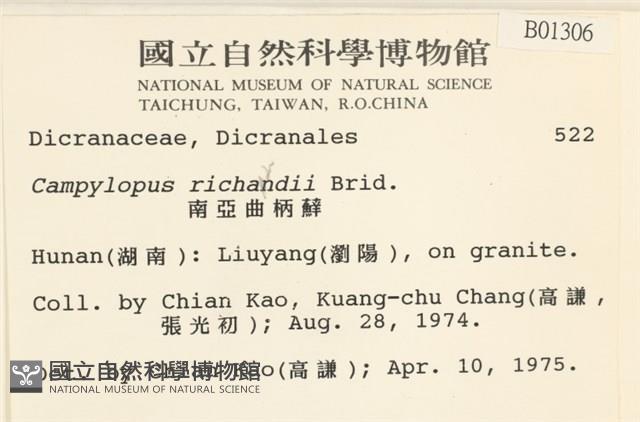 節莖曲柄蘚藏品圖，第2張