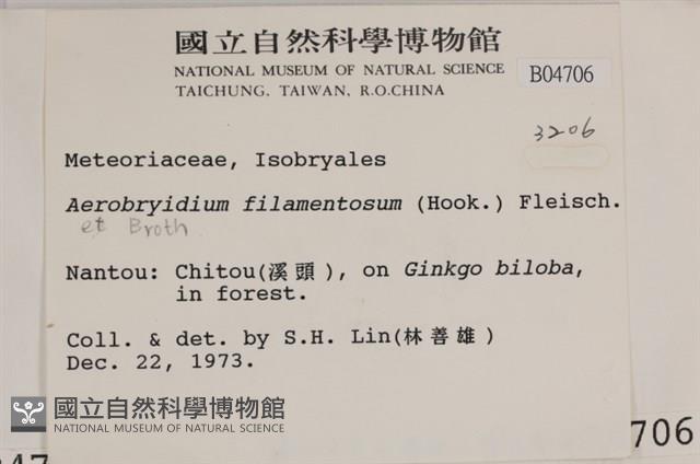 毛扭蘚藏品圖，第2張