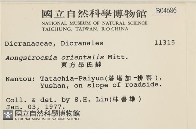 東亞昂氏蘚,東方昂氏蘚藏品圖，第2張