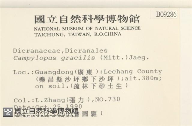 登錄號:B00009286藏品圖，第2張