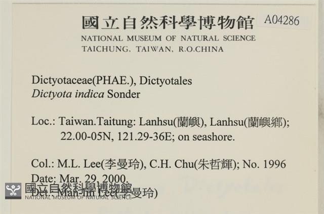 登錄號:A00004286藏品圖，第2張