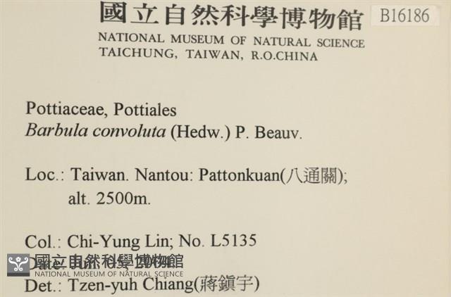 登錄號:B00016186藏品圖，第2張