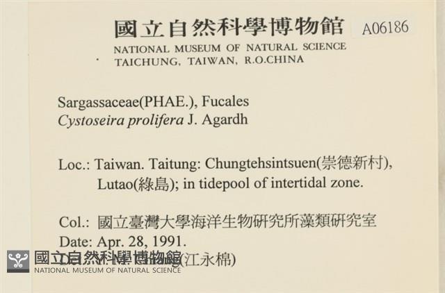 登錄號:A00006186藏品圖，第2張