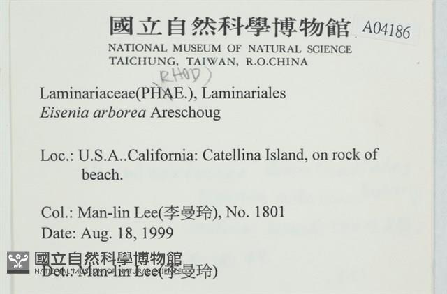 登錄號:A00004186藏品圖，第2張