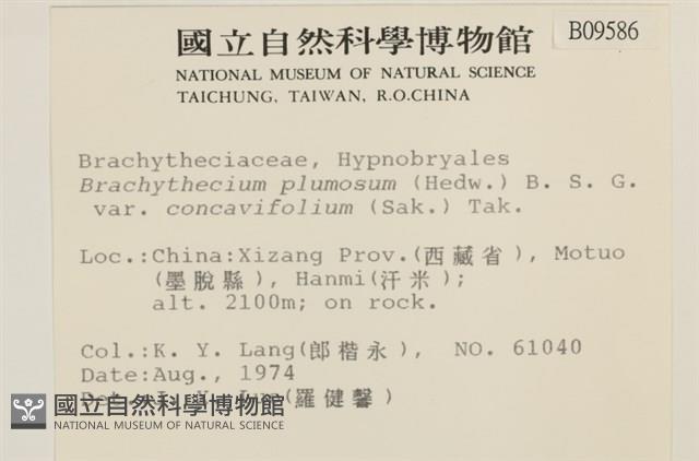 登錄號:B00009586藏品圖，第2張