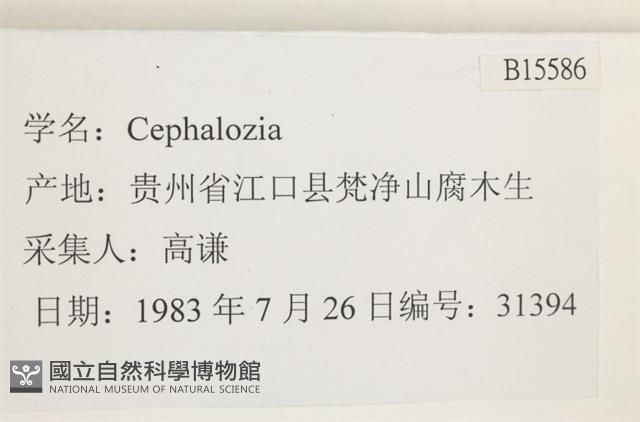 登錄號:B00015586藏品圖，第2張