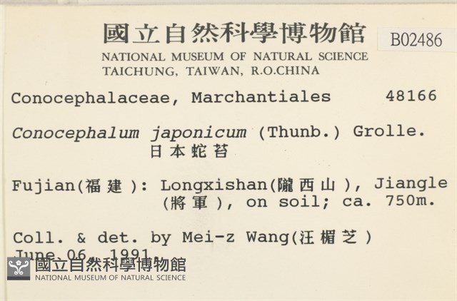 日本蛇苔藏品圖，第2張