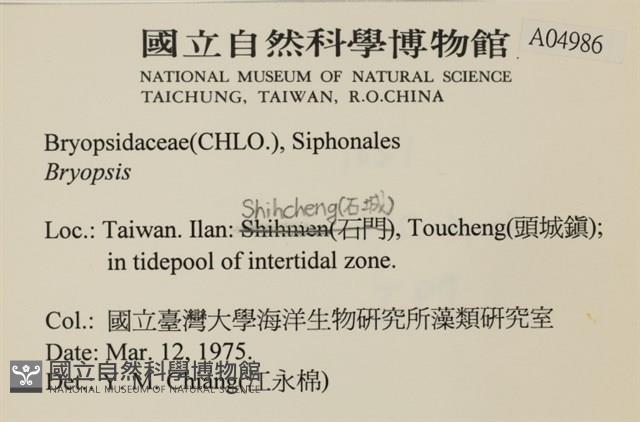 登錄號:A00004986藏品圖，第2張