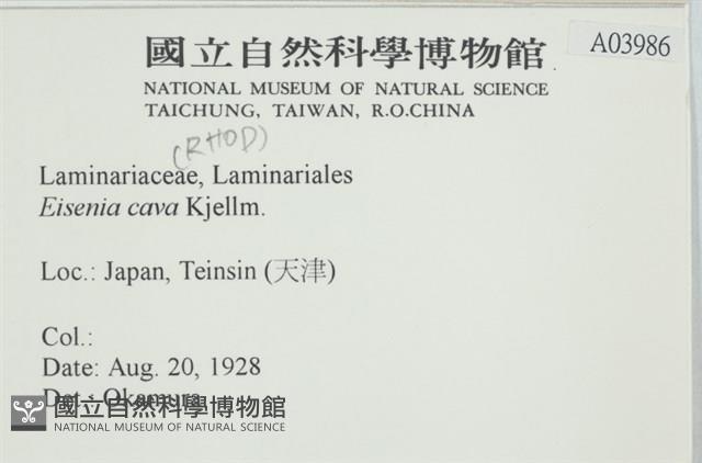 登錄號:A00003986藏品圖，第2張