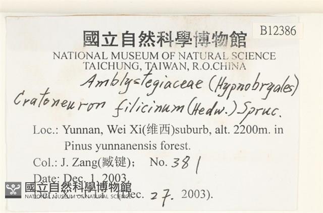 登錄號:B00012386藏品圖，第2張