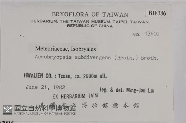 大灰氣蘚藏品圖，第2張