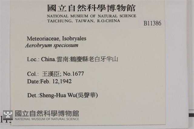 登錄號:B00011386藏品圖，第2張