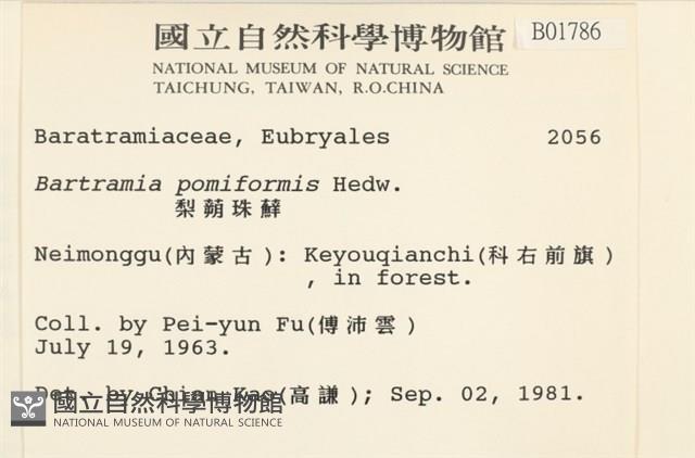 登錄號:B00001786藏品圖，第2張