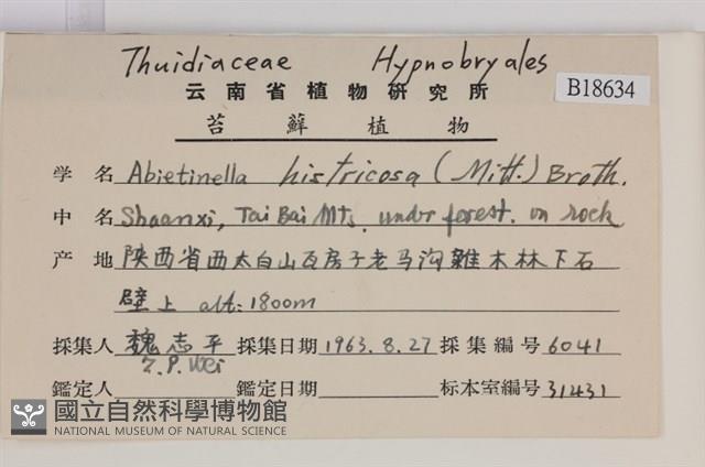 登錄號:B00018634藏品圖，第2張