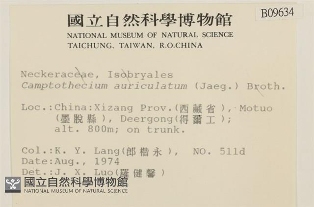 登錄號:B00009634藏品圖，第2張