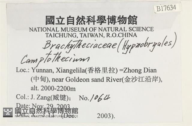 登錄號:B00017634藏品圖，第2張