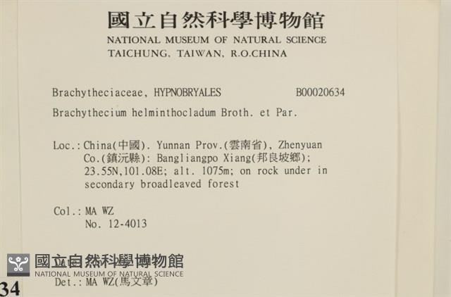 登錄號:B00020634藏品圖，第2張