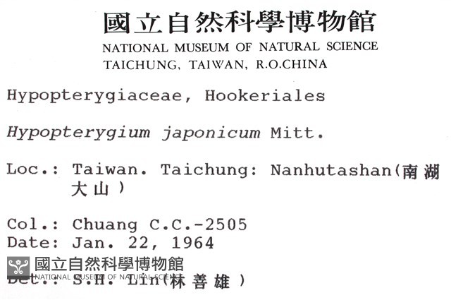 日本孔雀蘚藏品圖，第2張