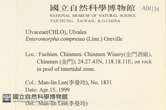 扁石髮藏品圖，第2張