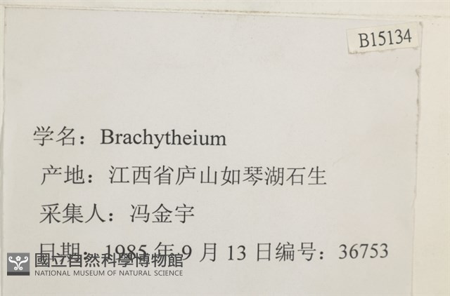 登錄號:B00015134藏品圖，第2張