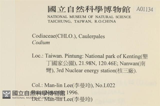 登錄號:A00001134藏品圖，第2張