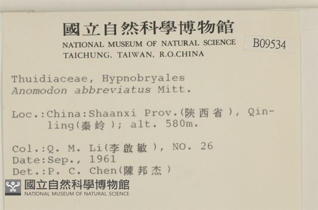 登錄號:B00009534藏品圖，第2張