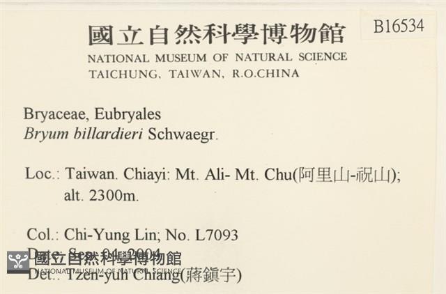 登錄號:B00016534藏品圖，第2張