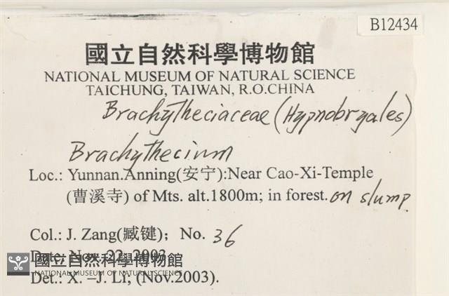 登錄號:B00012434藏品圖，第2張