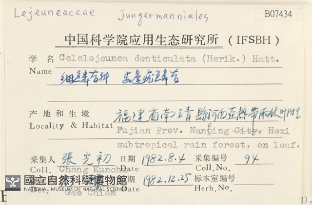 齒邊疣鱗苔藏品圖，第2張