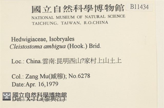 蔓枝蘚藏品圖，第2張
