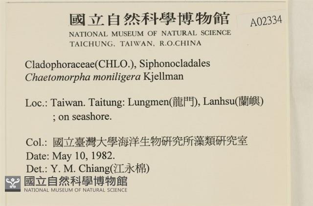 登錄號:A00002334藏品圖，第2張