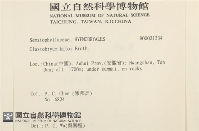 細尖疣胞蘚藏品圖，第2張