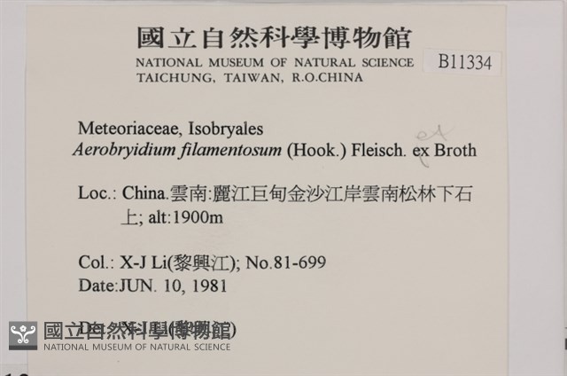 毛扭蘚藏品圖，第2張