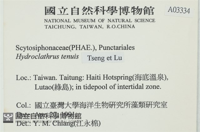 登錄號:A00003334藏品圖，第2張